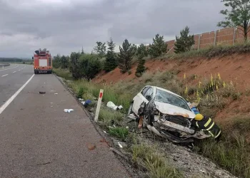 Otomobil şarampole devrildi