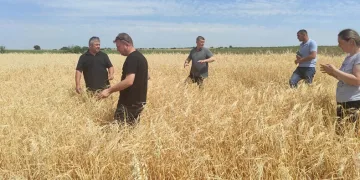 Dolu yağışından tarım arazileri etkilendi