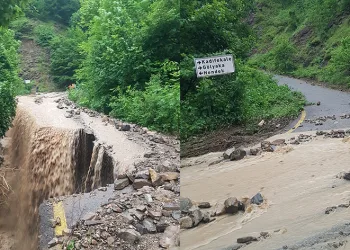 Şiddetli yağmur yolu çökertti