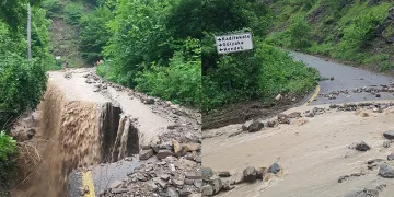 Şiddetli yağmur yolu çökertti