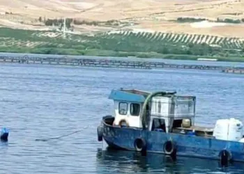 Bayram pikniği facia ile sonlandı