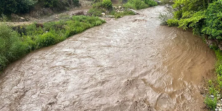 Muğla’da sağanak yağış etkili oldu