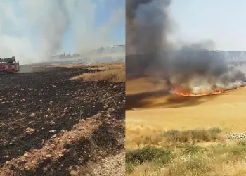 130 dönümlük buğday tarlası küle döndü