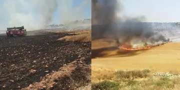 130 dönümlük buğday tarlası küle döndü