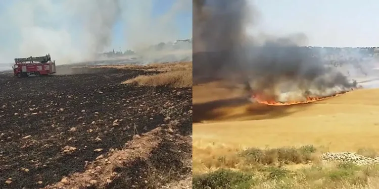 130 dönümlük buğday tarlası küle döndü