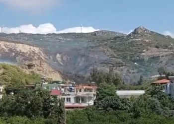 Zeytinlik alanda çıkan yangın korkuttu