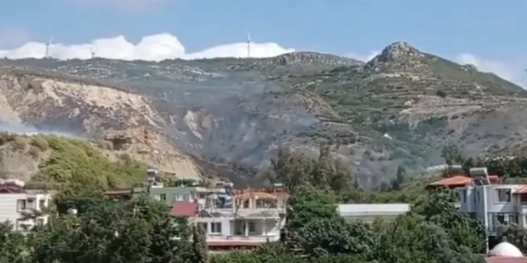 Zeytinlik alanda çıkan yangın korkuttu