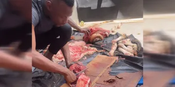 Mame Thiam ailesi ile kurban bayramını kutladı