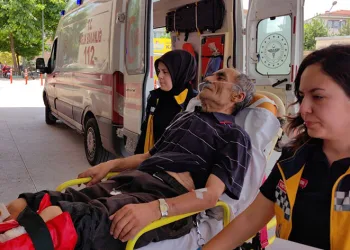 Bursa’da ıhlamur toplamak için çıktığı ağaçtan düştü