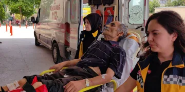 Bursa’da ıhlamur toplamak için çıktığı ağaçtan düştü
