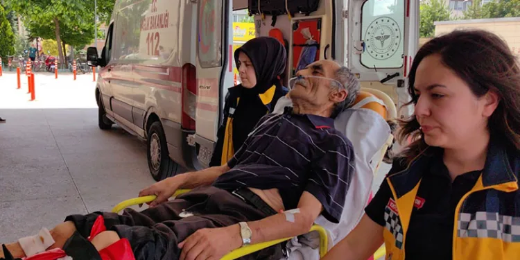 Bursa’da ıhlamur toplamak için çıktığı ağaçtan düştü