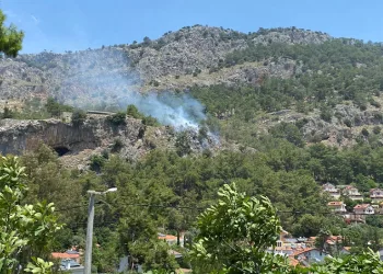 Orman yangını büyümeden söndürüldü