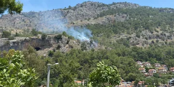 Orman yangını büyümeden söndürüldü