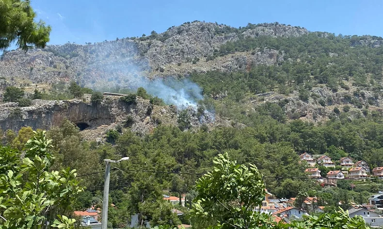 Orman yangını büyümeden söndürüldü