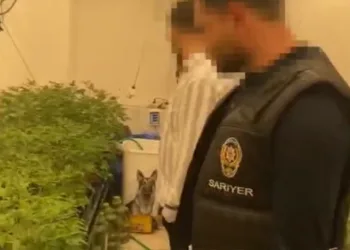 Sarıyer’de sera eve operasyon