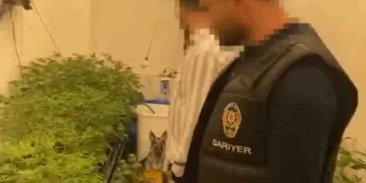 Sarıyer’de sera eve operasyon