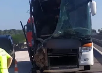 Yolcu otobüsü kamyona çarptı