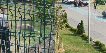 Sahil kenarında erkek cesedi bulundu