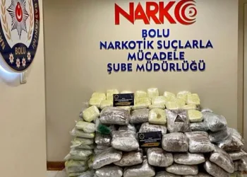 Araç dolusu uyuşturucu yakalandı