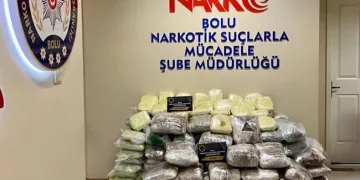Araç dolusu uyuşturucu yakalandı