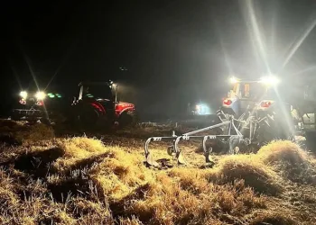 Arpa ekili tarla küle döndü
