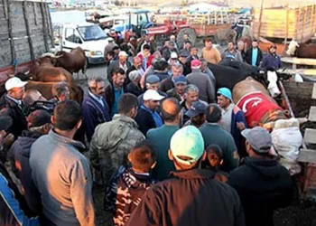 Bayram öncesinde hayvan pazarı tekrar açılacak