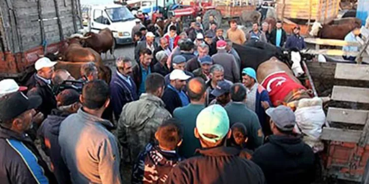 Bayram öncesinde hayvan pazarı tekrar açılacak
