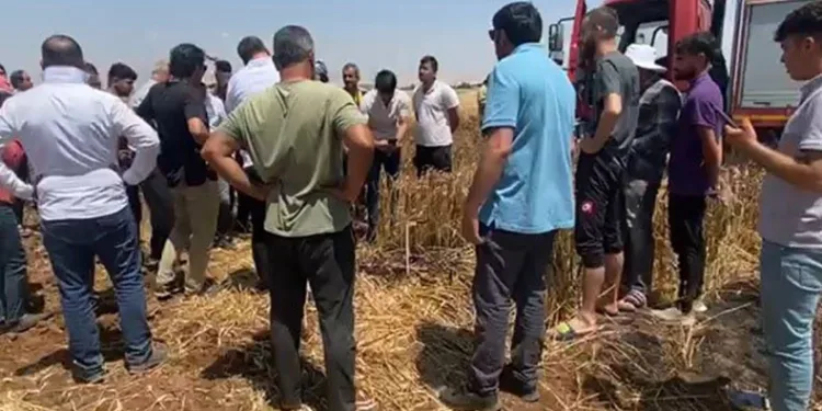 50 dönümlük ekili tarla küle döndü