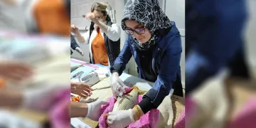 Sazan balıklarının sağımları başladı