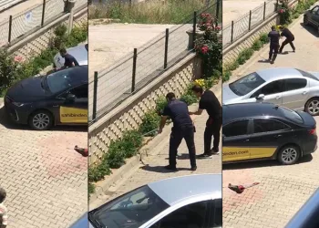 Bahçesine giren yılan paniğe neden oldu