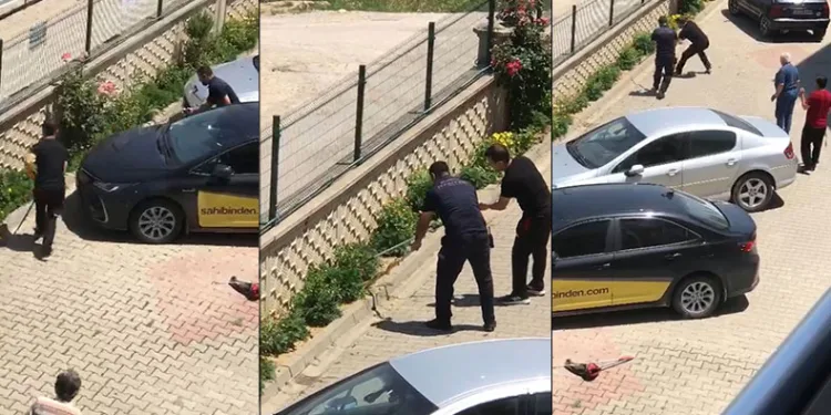 Bahçesine giren yılan paniğe neden oldu