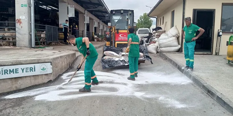 Kurban pazarlarında ilaçlama