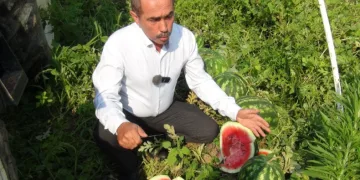 “Bir römork karpuz, işçi yevmiyelerini karşılamıyor”