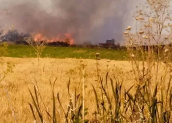 Lüleburgaz’da tarla yangını