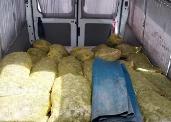 Deniz polisi kaçak midye ele geçirdi