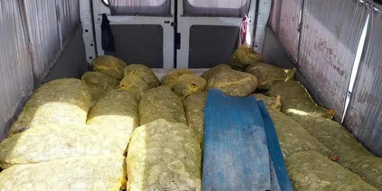 Deniz polisi kaçak midye ele geçirdi