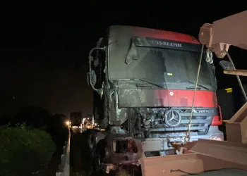 TEM’de alev topuna dönen tır trafiği durdurdu
