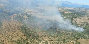 İzmir’de orman yangını