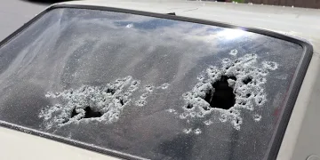 Kardeşlere kanlı pusu