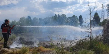 Hidroelektrik santrali arazisinde korkutan yangın