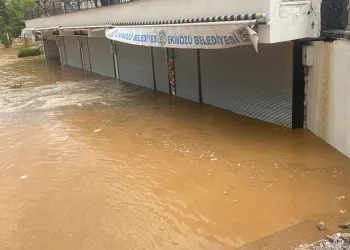 Yağmur sele neden oldu