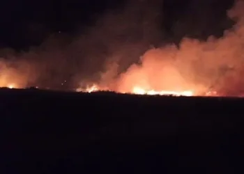 Düşen yıldırım buğday tarlasını yaktı