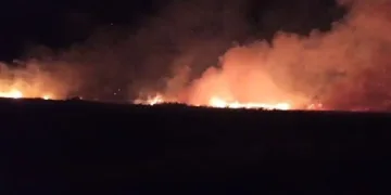 Düşen yıldırım buğday tarlasını yaktı