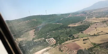 Manisa’da orman yangını