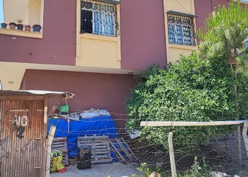 Pişkin hırsızlar