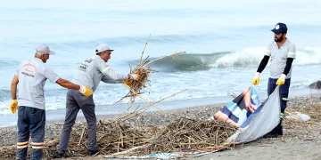 Caretta carettaların üreme alanı sahiller temizleniyor