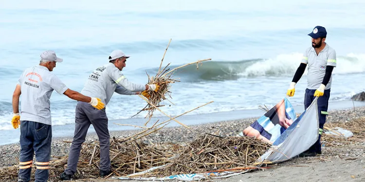 Caretta carettaların üreme alanı sahiller temizleniyor
