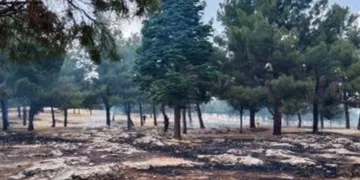 Ormanlık alanda çıkan yangın korkuttu