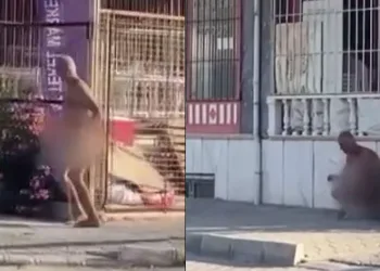 Sokakta çıplak koşan şahıs gözaltına alındı