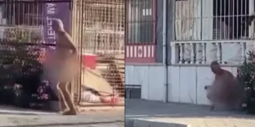 Sokakta çıplak koşan şahıs gözaltına alındı
